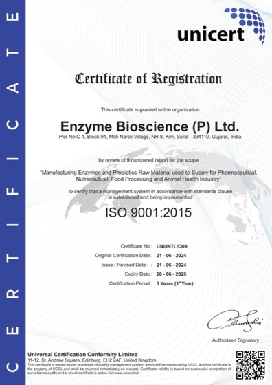 ISO 9001:2015 certificate