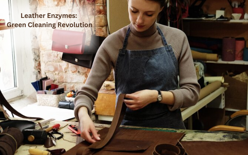 Leather Enzyme