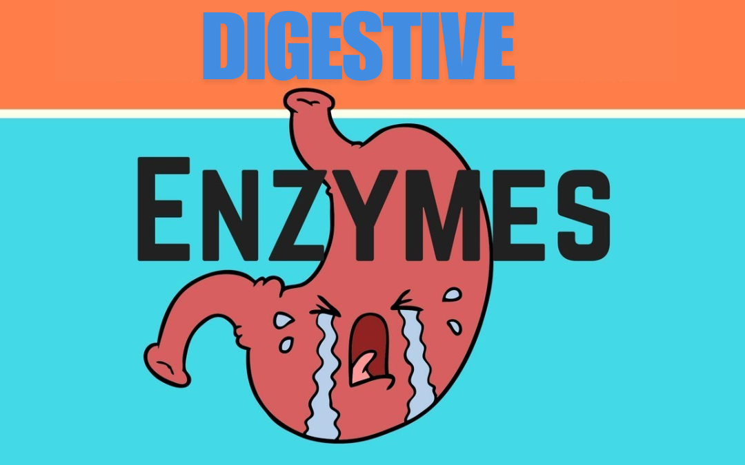 the Benefits of Digestive Enzymes