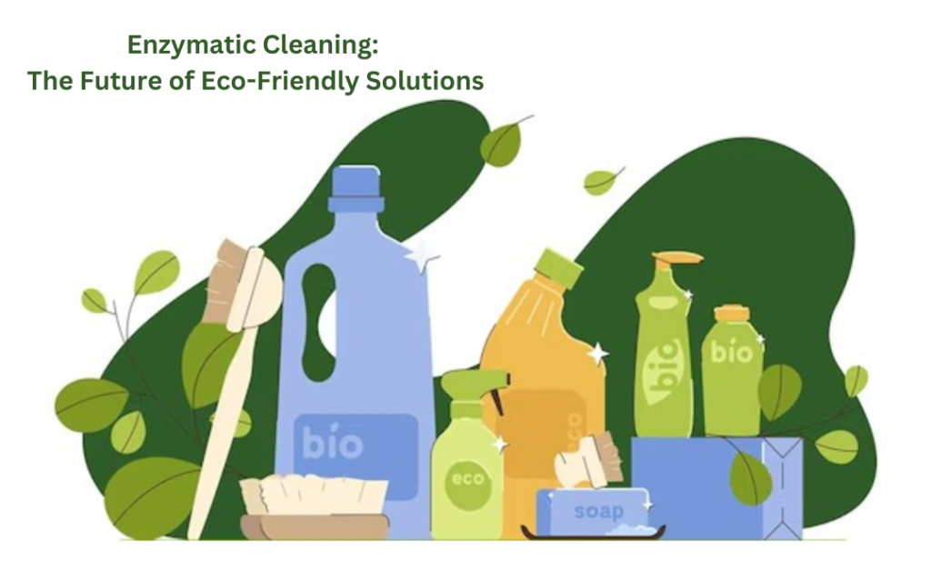 Enzymatic Cleaning The Future of Eco-Friendly Solutions