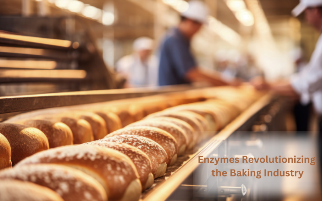 Enzymes Revolutionizing the Baking Industry
