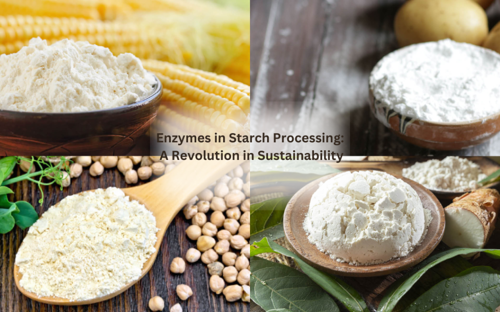 Enzymes in Starch Processing A Revolution in Sustainability