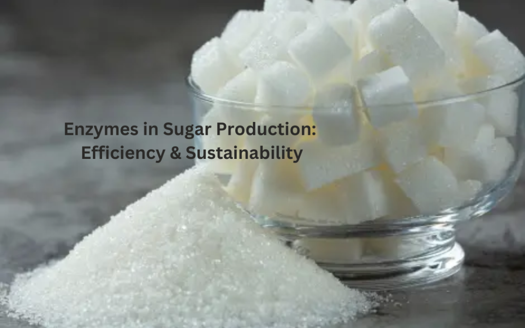 Enzymes in Sugar Production Efficiency & Sustainability