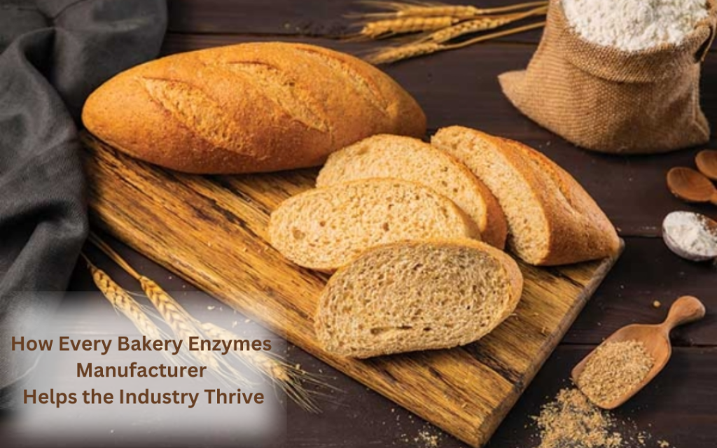 How Every Bakery Enzymes Manufacturer Helps the Industry Thrive