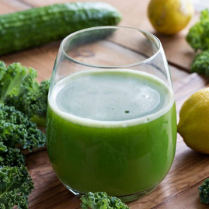 Lactobacillus Fermentum