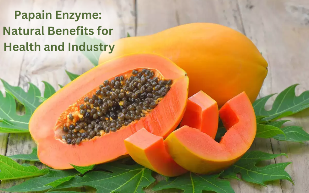 Papain Enzyme Natural Benefits for Health and Industry