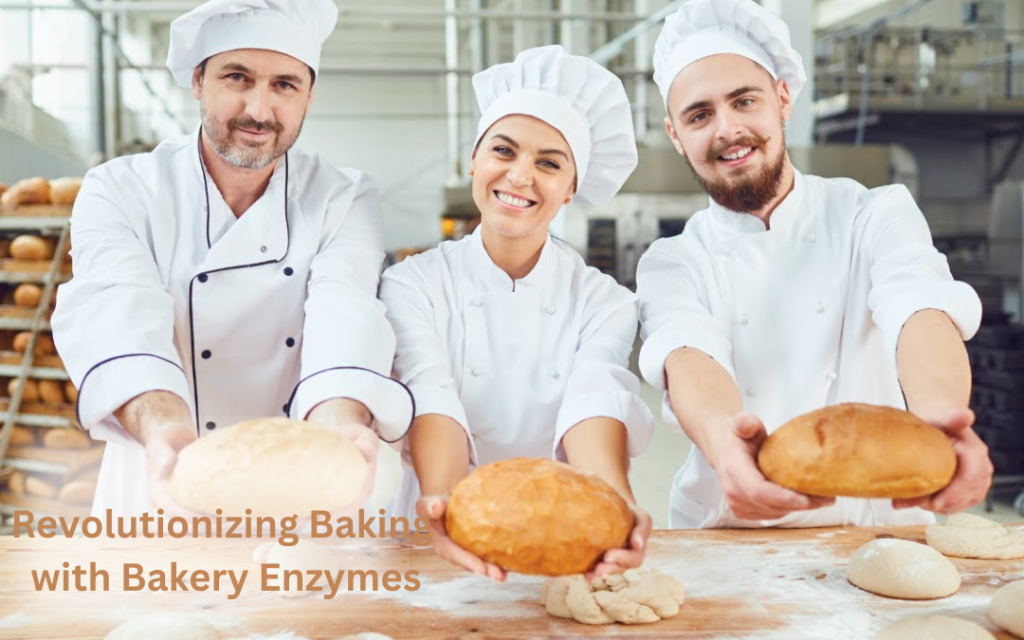 Revolutionizing Baking with Bakery Enzymes