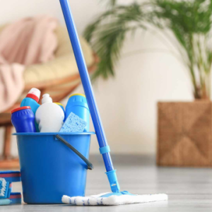 Floor Cleaner