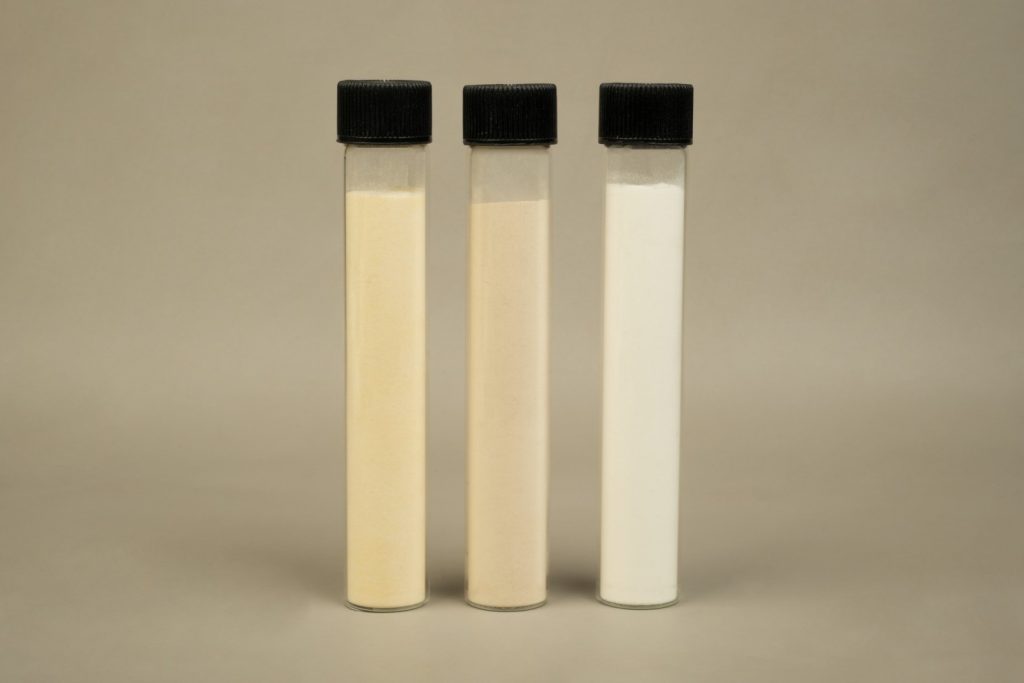 Innovative Delivery Formats for Probiotics & Enzymes