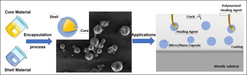 Innovative Delivery Formats for Probiotics & Enzymes