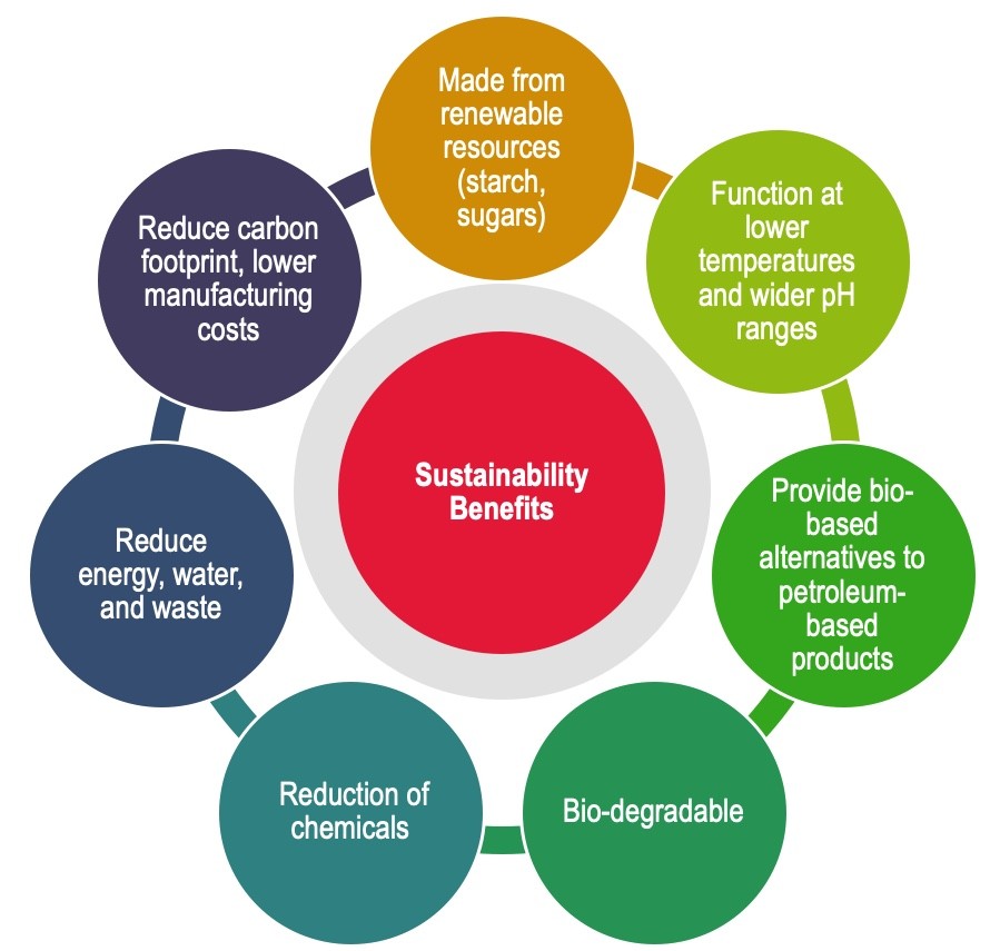 Telling the Whole Story: Sustainability and Integrity in Enzyme-Based Brands