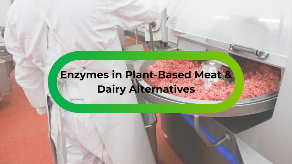The Role of Enzymes in Plant-Based Meat & Dairy Alternatives