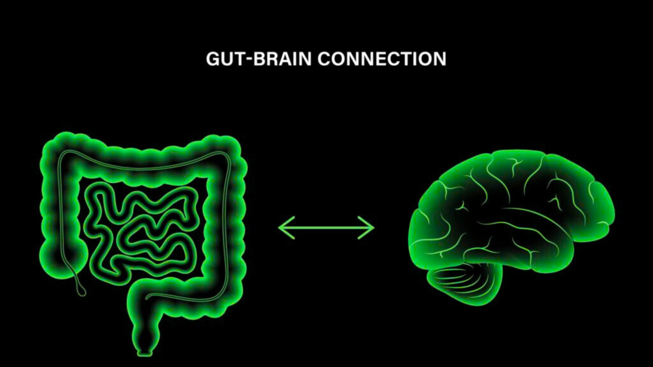 Gut Health and Mental Well-being at Work