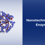 Nanotechnology in Enzyme Delivery Systems for Pharmaceuticals
