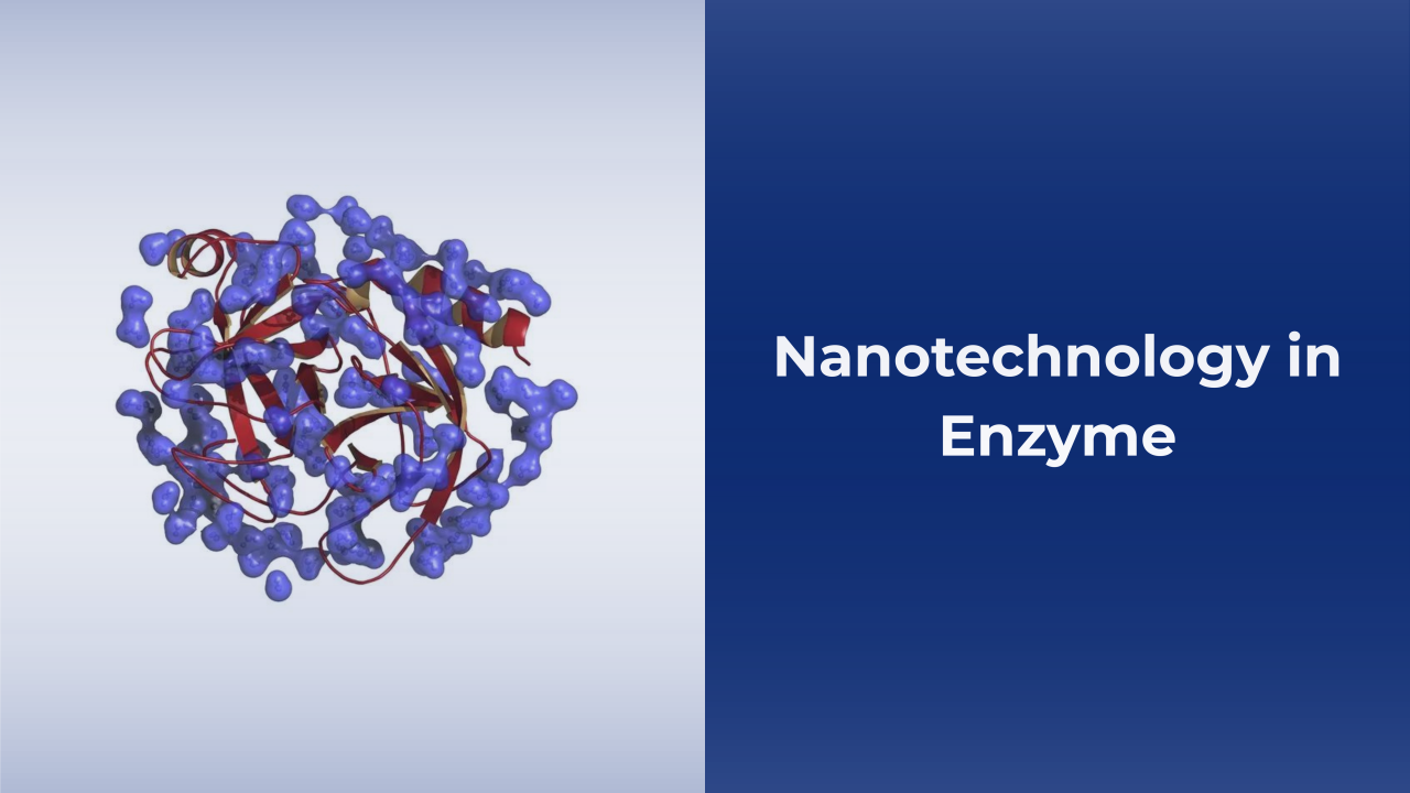 Nanotechnology in Enzyme Delivery Systems for Pharmaceuticals